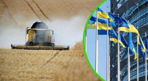 Агровиробництво України у 2025 р: результати сезону та порівняння з ЄС